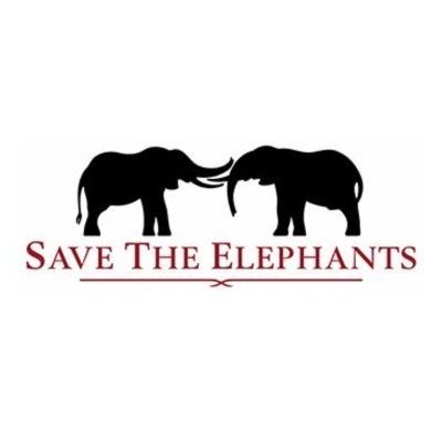Save The Elephants Hiring Scholarships Officer