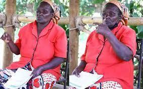 How Granny Lost Sh100m Land Over 45-Day Delayed Appeal