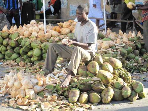 Coconut Farmers Hoping For State Support To Revive Sector