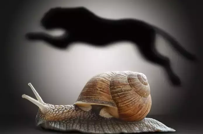 Executive Coaching: 4 Ways to Get Faster Results