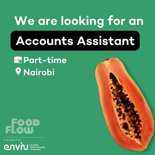 Enviu Hiring Accounts Assistant