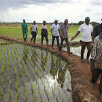 Farmer On Fire Launches ASAL Climate Diversity Recovery Initiative