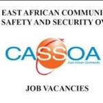 CASSOA Hiring Executive Director And Director Technical