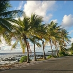FTX Lobbyist Tried To Buy Pacific Island Of Nauru To Create A New Superspecies, Lawsuit Says