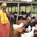 How Rural Women Are Fighting Climate Change