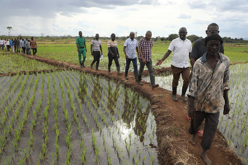 Farmer On Fire Launches ASAL Climate Diversity Recovery Initiative