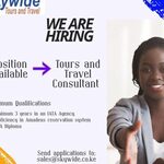 Skywide Hiring Tours And Travel Consultant