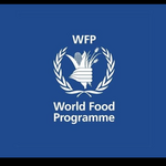 Internship Opportunities Open At WFP