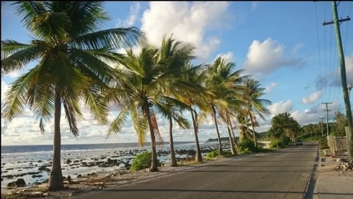 FTX Lobbyist Tried To Buy Pacific Island Of Nauru To Create A New Superspecies, Lawsuit Says