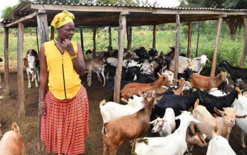 How Rural Women Are Fighting Climate Change
