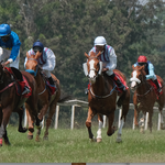Racing Enthusiasts Expected back On Ngong Road For Second Meeting