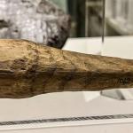 Wooden Object Nearly 2,000 Years Old Suggests Romans Used Sex Toys, Study Says
