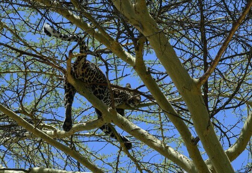 Kenya Woos Investors To Develop Tourism Facilities Within Parks