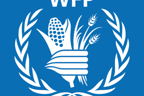 WFP Hiring In 5 Positions