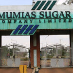 Cane Farmers Against State Mill Merger Proposal