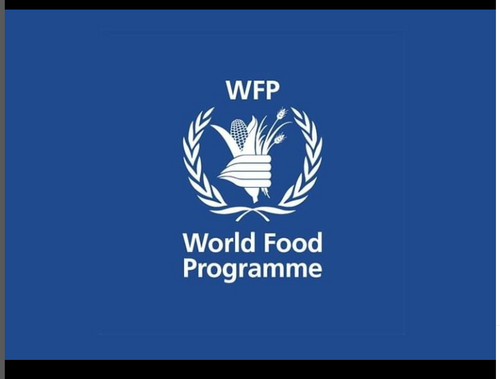 Internship Opportunities Open At WFP