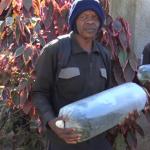 Kakamega Fish Farmers Get Free Fingerlings, Feeds
