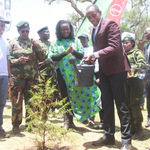 State Targets To Plant 60 Million Trees This Rainy Season