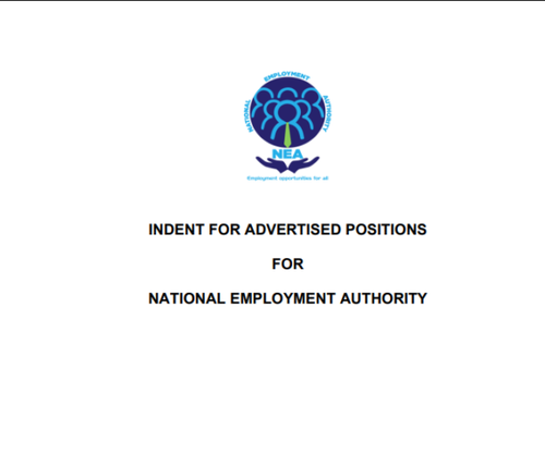 NEA Hiring Accounts Assistant (2 Posts)