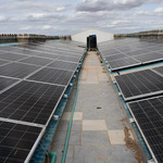 UNCTAD Calls For More Net-Zero Financing In Developing Economies