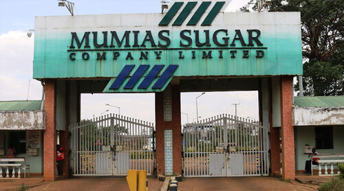 Cane Farmers Against State Mill Merger Proposal