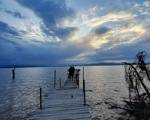 Going solo: The Upsides And Downsides Of Traveling Alone