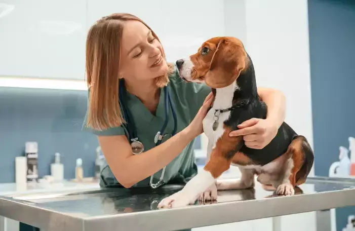 Why the Hardest Part of Veterinary Medicine Isn’t Medicine at All