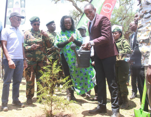 State Targets To Plant 60 Million Trees This Rainy Season