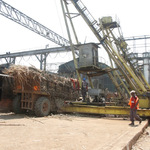 Sugar Shortage Looms As Stocks Run Out, Firms Close
