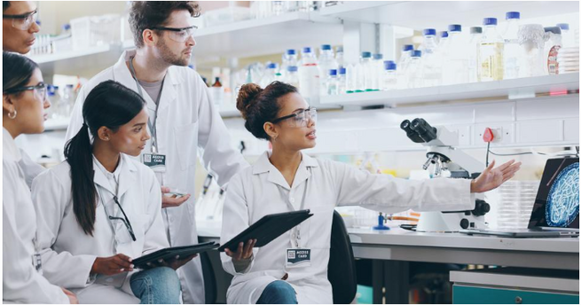 5 Skills Every Team Needs for Collective Intelligence