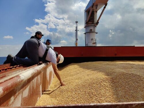 Kiev Expects EU To Lift Embargo On Ukrainian Grain