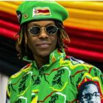 Robert Mugabe’s Son Arrested After Cars Vandalised At Harare Party