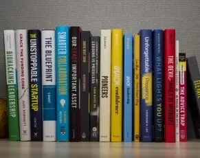Strategic Budget Allocation For Independent Authors