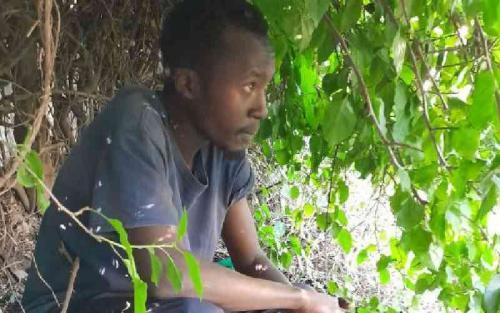 Grade A Varsity Student Living In A Thicket