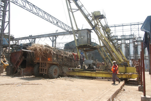 Sugar Shortage Looms As Stocks Run Out, Firms Close