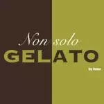 Non Solo Gelato Vacancies 2026