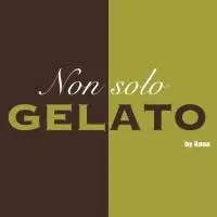 Non Solo Gelato Vacancies 2026