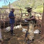 Uganda Releases 11 Herders Arrested Five Months Ago