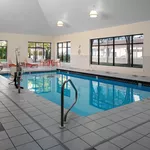 How Professional Hotel Pool Services Keep Swimming Pools Clean and Safe