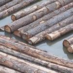 B.C. To Dedicate Some Provincial Timber Supply To Value-Added Industry