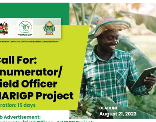 Kilifi County Hiring Enumerator / Field Officer