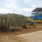 West Kenya Sugar Adopts Digicane Technology To Improve Cane Farming