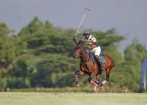Polo Party Awaits Nairobians As Zambia Battle Kenya In 9 Goal Tournament