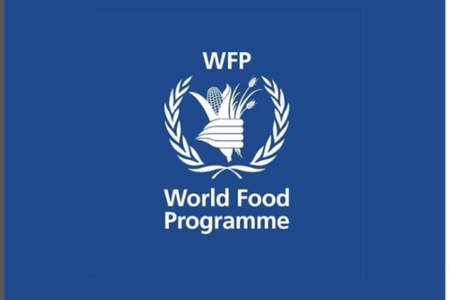 WFP Hiring Senior Innovation Manager, Innovation Consultancy Services Lead, CST II