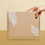 How Corrugated Mailer Boxes Perform in Extreme