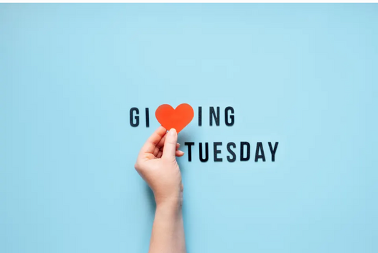 Giving Tuesday: How to Maximize Its Impact in 2025