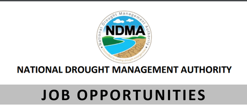 NDMA Hiring In 4 Sections