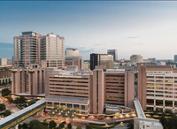 Emotional Intelligence in Healthcare: The Key to Patient Trust