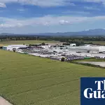 Cyclospora found at Mexican farm linked to lettuce outbreak, FDA says
