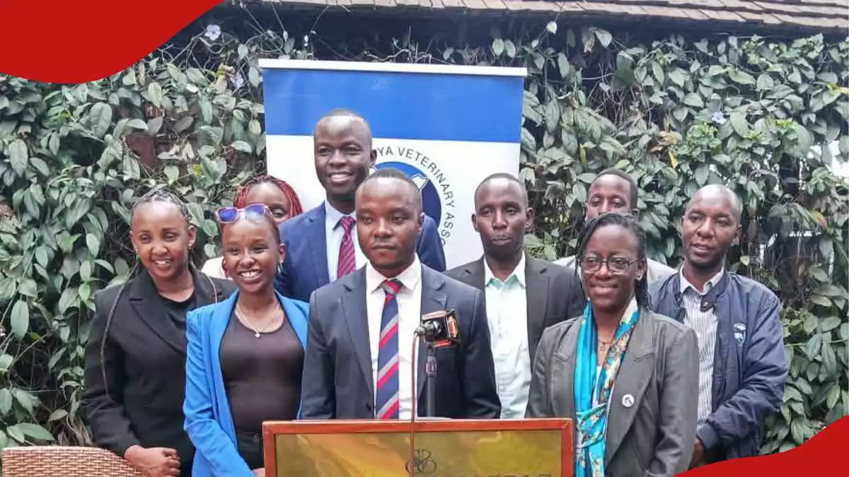 Kenya’s vet doctors show salaries, allowances they earn, demand higher govt pay